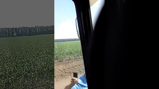 полиция ничем не отличается от гаи смотреть онлайн