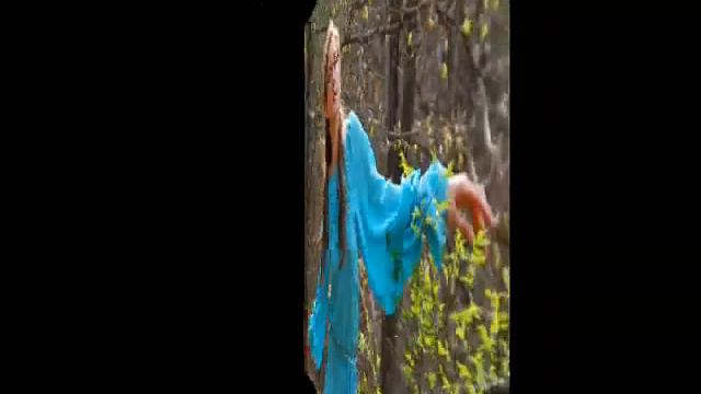 Ари Ясан. Волшебный Лес смотреть онлайн