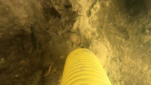 10. Плот, мотопомпа, эжектор. Чистим берег.