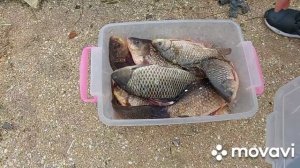 Рыбалка на лимане в Темрюке.