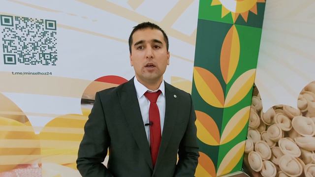 Новые горизонты обработки семян зерновых. Опыт сибирских регионов