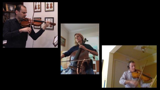 HAYDN "Baryton" Divertimento in G Major смотреть онлайн