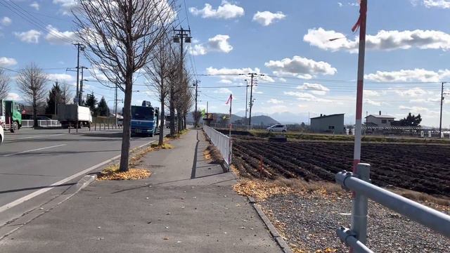 Around University Chill Walk in Asahikawa, Hokkaido, Japan | 4K HDR смотреть онлайн