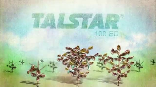 Talstar смотреть онлайн