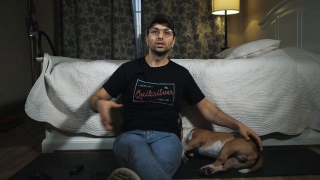 Бультерьер. Мини Бультерьер. Минибультерьер. Миниатюрный бультерьер. 2 года содержания. Мой опыт. смотреть онлайн