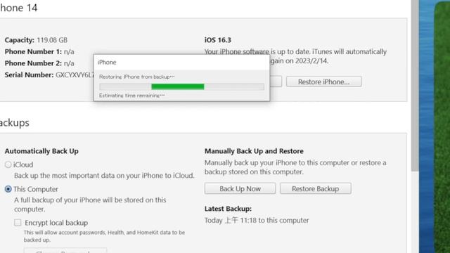 How to Restore Deleted WhatsApp Messages on iPhone 2023 (3 Ways) смотреть онлайн