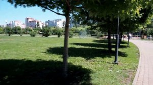 В гостях у кота Василия с ул  Лизюкова, Воронеж18 июня 2021 г