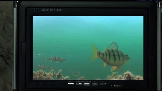 Underwater Fishing Camera | Cameras Underwater смотреть онлайн