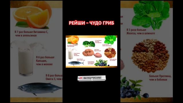 ЧУДО-ГРИБ Рейши для здоровья #здоровье #здоровоепитание #грибы #чудо смотреть онлайн