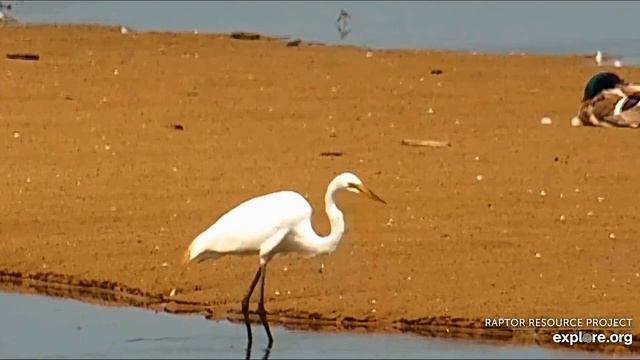Крупные планы с камер смотреть онлайн