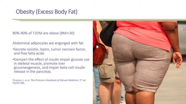 An Integrative Approach to Type 2 Diabetes MUIH Lesson 2 смотреть онлайн