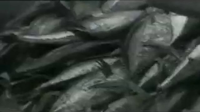Port of Los Angeles Oral History: Anthony Misetich смотреть онлайн
