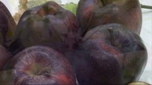 Яблоко удивительного цвета "Чёрный Алмаз"