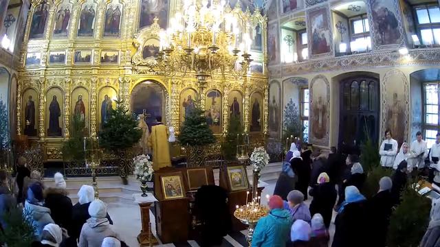 8.01.2017 Божественная литургия. Неделя 29-я по Пятидесятнице, по Рождестве Христовом. Глас 4. смотреть онлайн