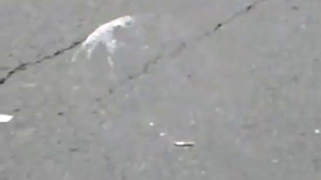 Жизнь мыльного пузыря смотреть онлайн
