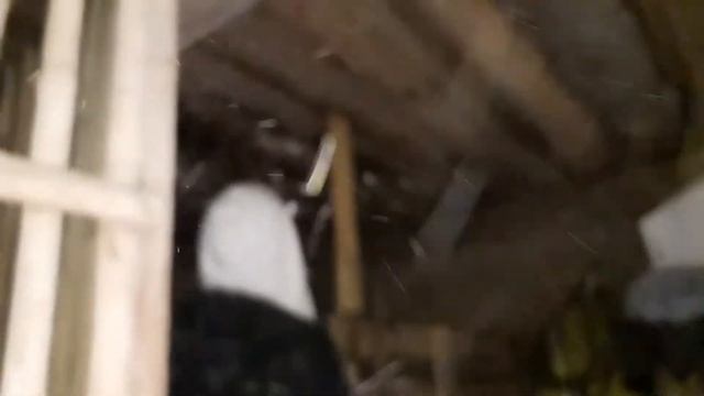 Сделали просторный вольер для кролика смотреть онлайн