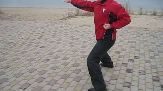 KIBAKEN SHODAN