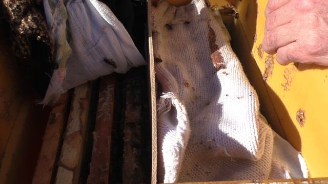 Особенности содержание пчёл в ульях ППУ. смотреть онлайн