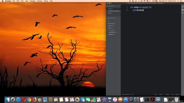Using for Loop with range Method #6,8 complete python course from basic to brilliance смотреть онлайн