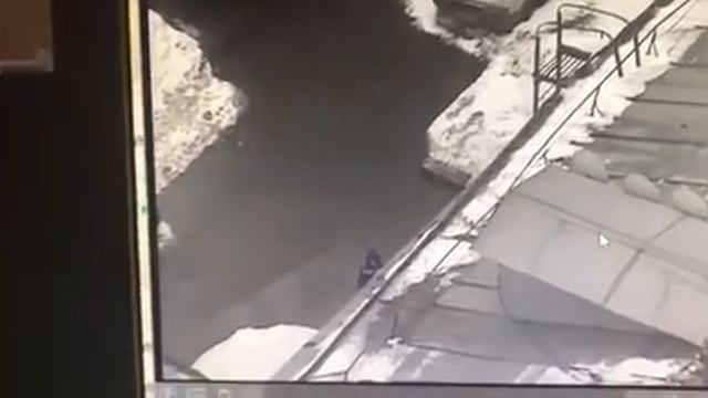 Как глава управы и руководитель гбу "Жилищник района Измайлово" закрывают жалобы жителей района, смотреть онлайн