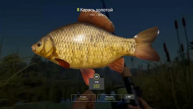 ПРОКАЧКА ДОНОЧНОЙ ЛОВЛИ. ПЛЮС ФАРМ НА КАРАСЯХ. РУССКАЯ РЫБАЛКА 4 смотреть онлайн