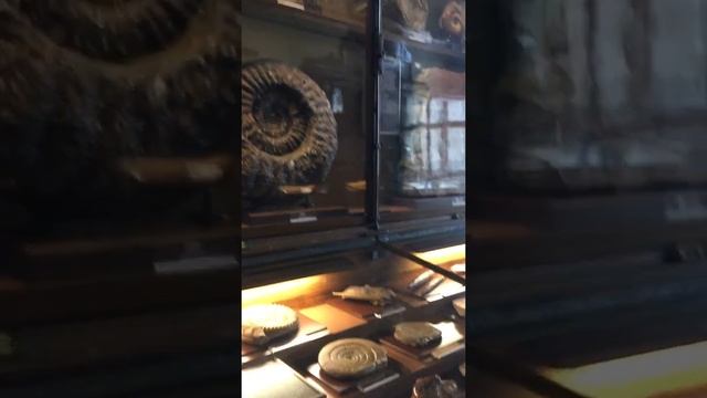#naturhistorisches museum vienna 1 смотреть онлайн