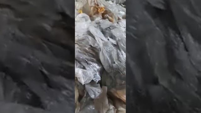 Ldpe Liner (Panni) Plastic Recycling Material !! #ldpe #polythene #plastic #recycle #scrap смотреть онлайн