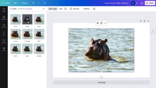 How To Liquify An Image In Canva | Canva Tutorial смотреть онлайн