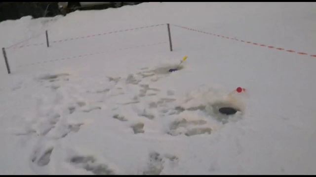 Утренний клёв Рыбалка Симбухово смотреть онлайн