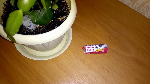 Веганские Рецепты