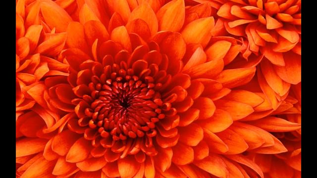 Поздравление Димона!(19.02)"ТУНГУС 26 RUS" смотреть онлайн