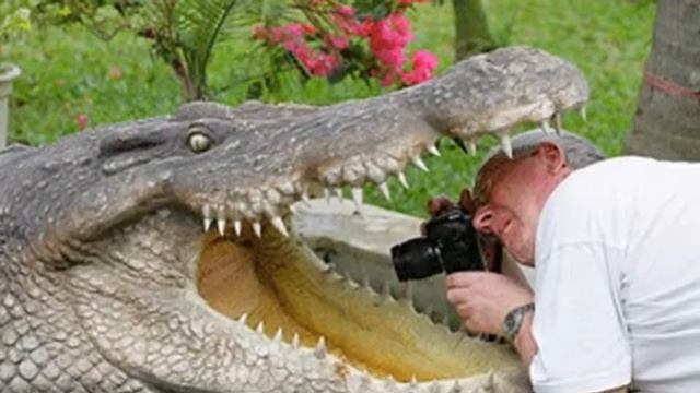 Крокодил в речке Нил - Мурзилки Int смотреть онлайн