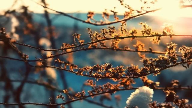 1 апреля праздник День Дарьи. День Домового. Что делать нельзя. Народные приметы и традиции. смотреть онлайн