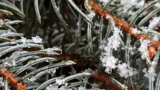 Славянск 6 января 2023 — Первый СНЕГ в Новом Году. смотреть онлайн