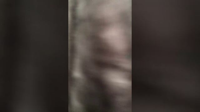 Шуба мутон воротник Норка 9500 ₽ в отличном состоянии р.48-50 /10753/ смотреть онлайн