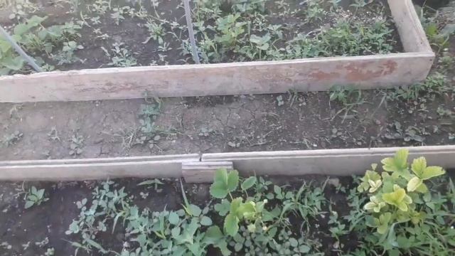 3 июня. Моя простая деревенская жизнь. Мои обычные дела. смотреть онлайн