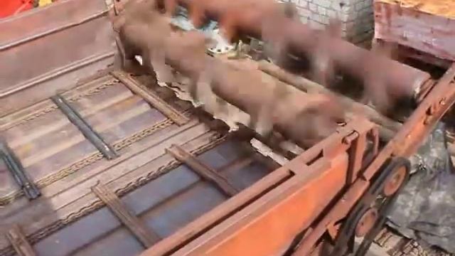 Разбрасыватель органических удобрений РОУ-6 смотреть онлайн