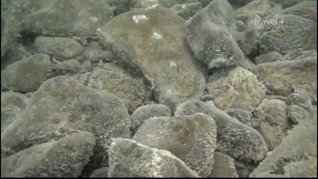 Охотники за вулканами. Италия / Volcano Hunters. Italy