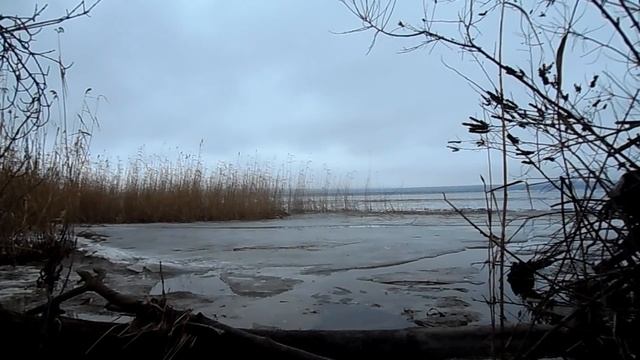 Новолуние 11 февраля 2021. Встреча года Быка. Китайский Новый Год. Что можно и нельзя делать. смотреть онлайн