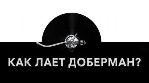 Как лает доберман? ? Звук лающего добермана и какие звуки издает доберман