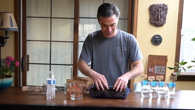 How To Grow Bonsai Trees From Seed смотреть онлайн