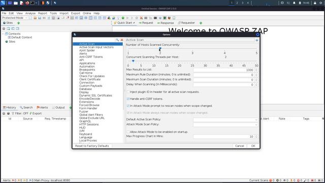 4.12. OWASP ZAP Dashboard & UI