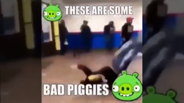 These are some Bad Piggies смотреть онлайн