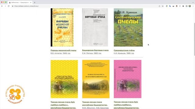 Где купить среднерусскую пчелу? Реестр заводчиков чистопородного материала. смотреть онлайн