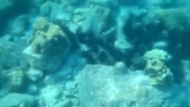 Съемка под водой 1. Тайланд 2012 смотреть онлайн