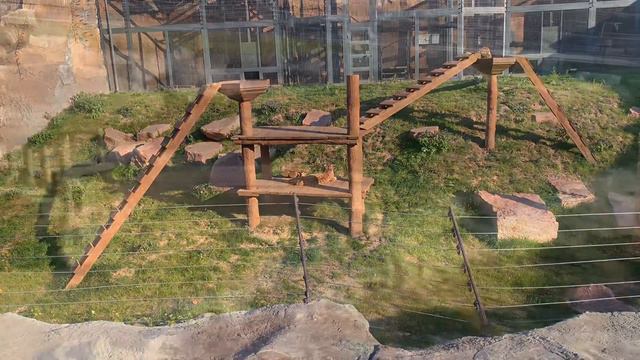 Харьковский зоопарк после реконструкции смотреть онлайн