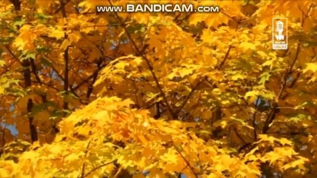 Обзор на диск Мастер Караоке: В компании друзей. Ресторанные песни. Часть 1 / 2008 / DVD-9 смотреть онлайн