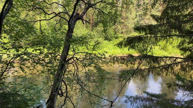 Оленьи ручьи река Серги вид 2, 2 июля 2022 г. смотреть онлайн