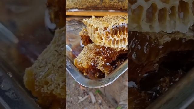 Режем соты клип смотреть онлайн