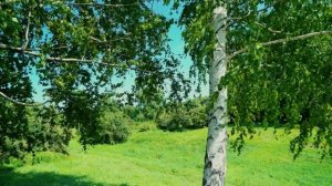 Песни тарханских крестьян